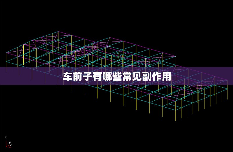 車前子有哪些常見副作用 行業(yè)新聞