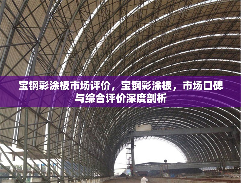 寶鋼彩涂板市場評價，寶鋼彩涂板，市場口碑與綜合評價深度剖析
