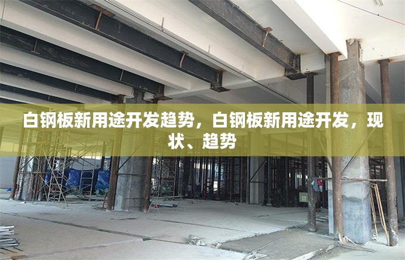 白鋼板新用途開(kāi)發(fā)趨勢(shì)，白鋼板新用途開(kāi)發(fā)，現(xiàn)狀、趨勢(shì) 行業(yè)新聞 第6張