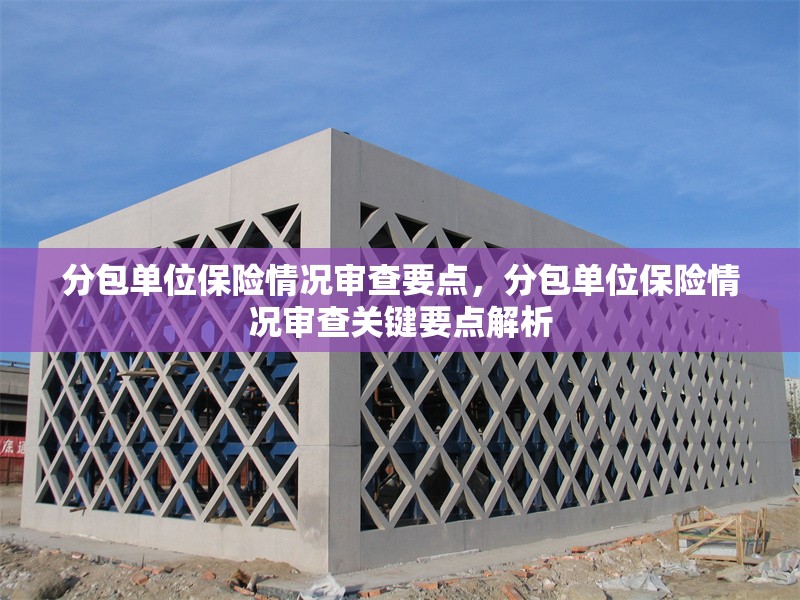 分包單位保險(xiǎn)情況審查要點(diǎn)，分包單位保險(xiǎn)情況審查關(guān)鍵要點(diǎn)解析 行業(yè)新聞