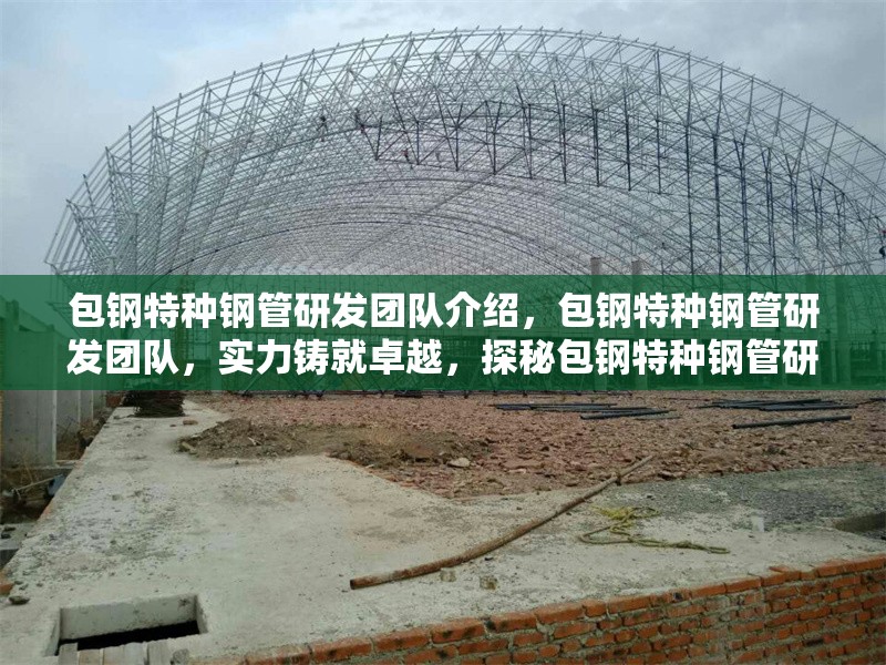 包鋼特種鋼管研發(fā)團隊介紹，包鋼特種鋼管研發(fā)團隊，實力鑄就卓越，探秘包鋼特種鋼管研發(fā)團隊，包鋼特種鋼管研發(fā)團隊，創(chuàng)新驅(qū)動的鋼鐵先鋒，包鋼特種鋼管研發(fā)團隊風采錄 行業(yè)新聞 第6張