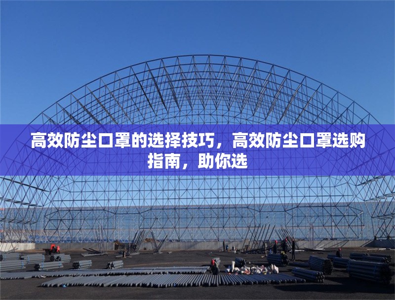 高效防塵口罩的選擇技巧，高效防塵口罩選購指南，助你選 行業(yè)新聞 第1張