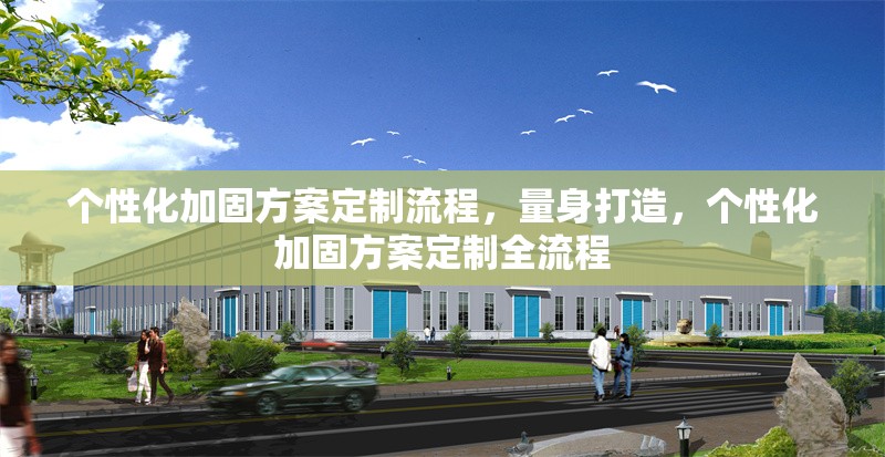 個性化加固方案定制流程，量身打造，個性化加固方案定制全流程 行業(yè)新聞 第1張