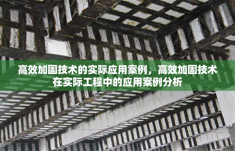 高效加固技術(shù)的實(shí)際應(yīng)用案例，高效加固技術(shù)在實(shí)際工程中的應(yīng)用案例分析