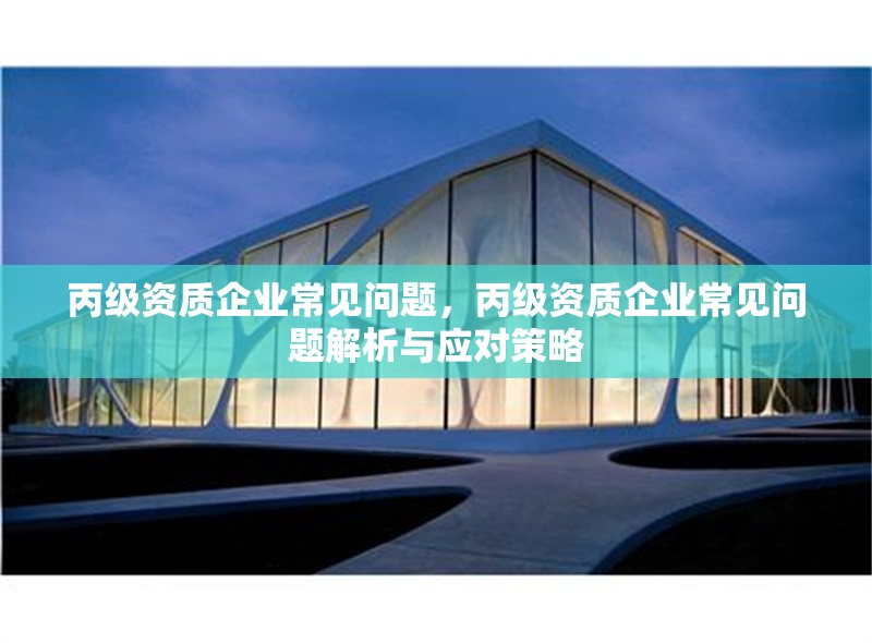 丙級(jí)資質(zhì)企業(yè)常見問題，丙級(jí)資質(zhì)企業(yè)常見問題解析與應(yīng)對(duì)策略
