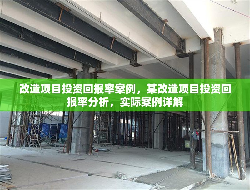 改造項(xiàng)目投資回報(bào)率案例，某改造項(xiàng)目投資回報(bào)率分析，實(shí)際案例詳解