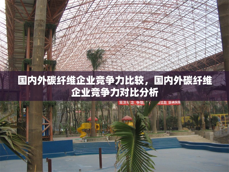 國內外碳纖維企業(yè)競爭力比較，國內外碳纖維企業(yè)競爭力對比分析