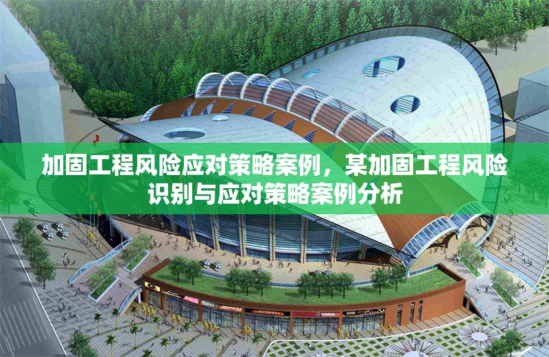 加固工程風(fēng)險應(yīng)對策略案例，某加固工程風(fēng)險識別與應(yīng)對策略案例分析
