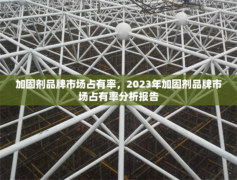 加固劑品牌市場占有率，2023年加固劑品牌市場占有率分析報告 行業(yè)新聞 第1張