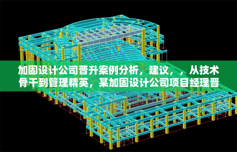 加固設(shè)計(jì)公司晉升案例分析，建議，，從技術(shù)骨干到管理精英，某加固設(shè)計(jì)公司項(xiàng)目經(jīng)理晉升路徑深度解析