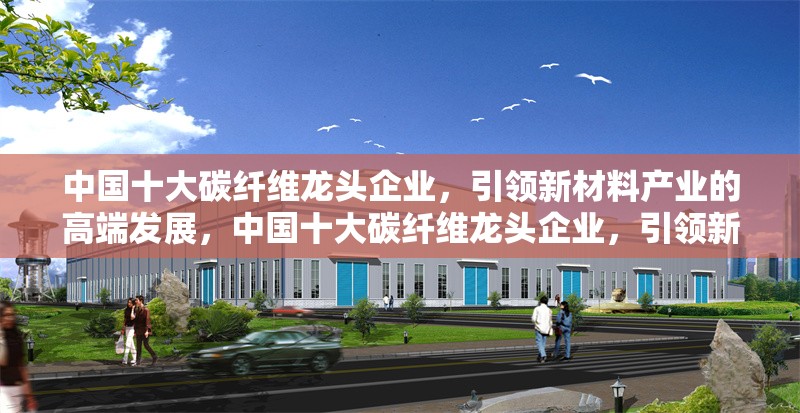 中國(guó)十大碳纖維龍頭企業(yè)，引領(lǐng)新材料產(chǎn)業(yè)的高端發(fā)展，中國(guó)十大碳纖維龍頭企業(yè)，引領(lǐng)新材料產(chǎn)業(yè)高端發(fā)展