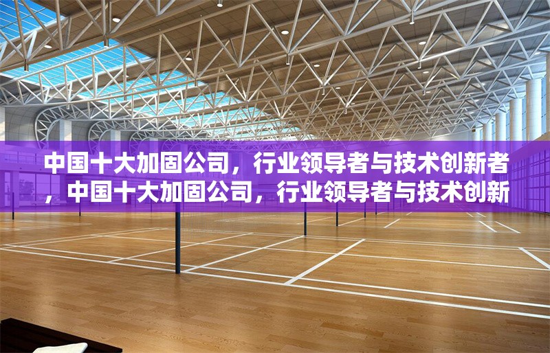 中國十大加固公司，行業(yè)領(lǐng)導(dǎo)者與技術(shù)創(chuàng)新者，中國十大加固公司，行業(yè)領(lǐng)導(dǎo)者與技術(shù)創(chuàng)新者盤點(diǎn)