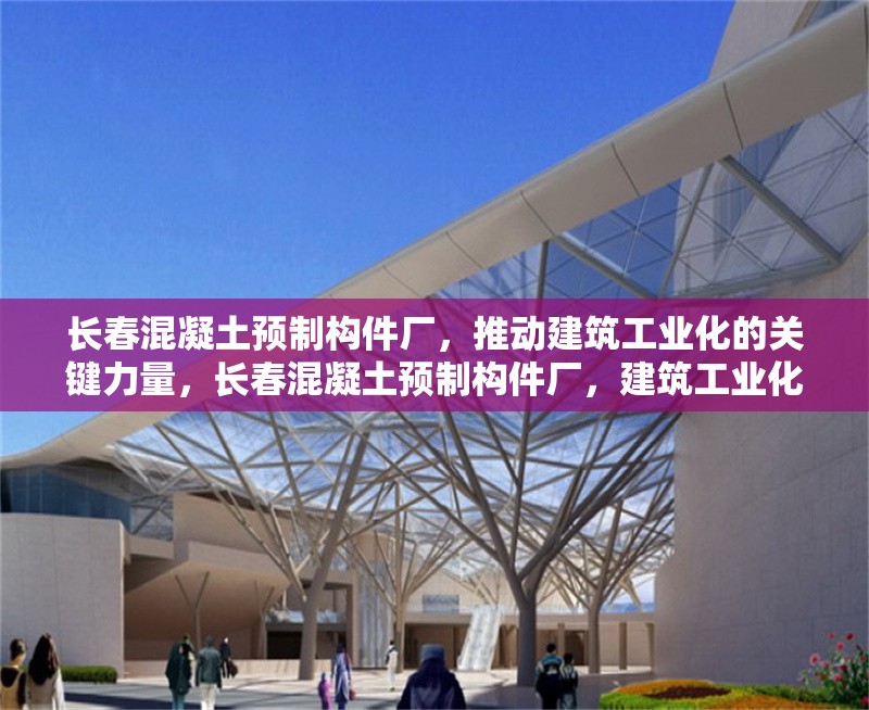 長(zhǎng)春混凝土預(yù)制構(gòu)件廠，推動(dòng)建筑工業(yè)化的關(guān)鍵力量，長(zhǎng)春混凝土預(yù)制構(gòu)件廠，建筑工業(yè)化的核心驅(qū)動(dòng)力 行業(yè)新聞