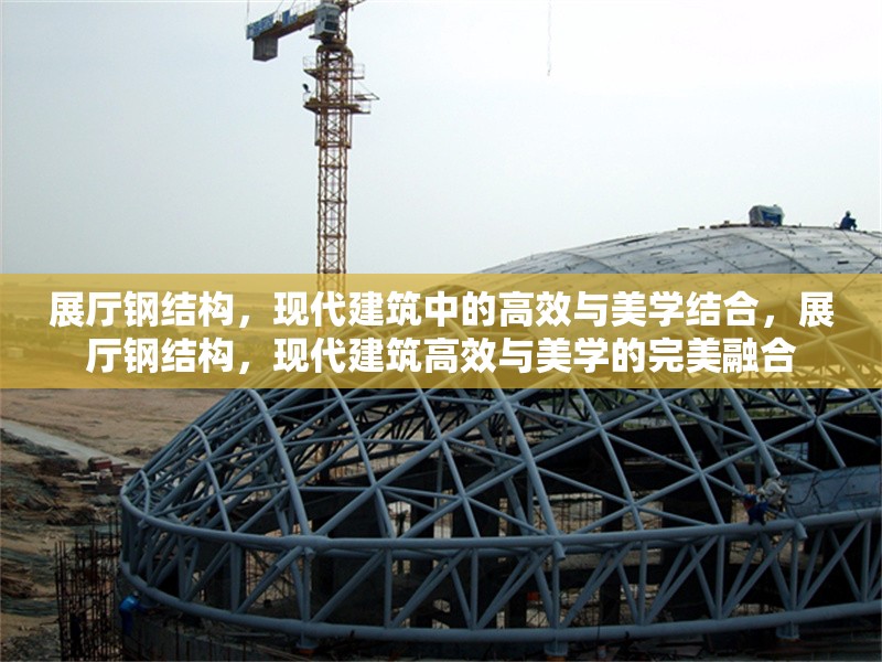 展廳鋼結(jié)構(gòu)，現(xiàn)代建筑中的高效與美學結(jié)合，展廳鋼結(jié)構(gòu)，現(xiàn)代建筑高效與美學的完美融合 行業(yè)新聞