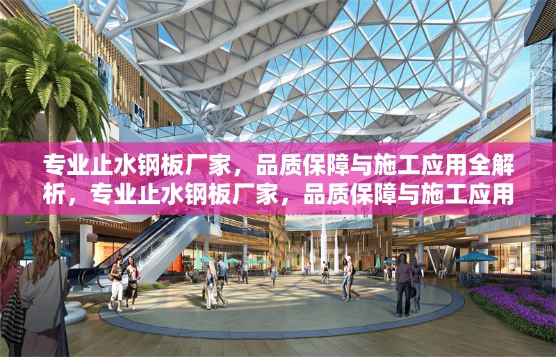 專業(yè)止水鋼板廠家，品質(zhì)保障與施工應(yīng)用全解析，專業(yè)止水鋼板廠家，品質(zhì)保障與施工應(yīng)用全解析