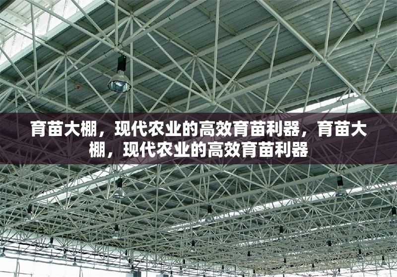 育苗大棚，現(xiàn)代農(nóng)業(yè)的高效育苗利器，育苗大棚，現(xiàn)代農(nóng)業(yè)的高效育苗利器