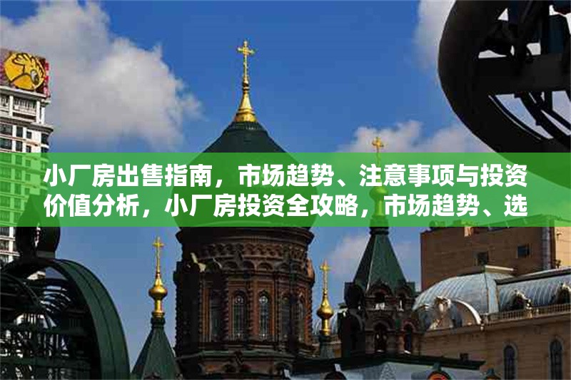 小廠房出售指南，市場(chǎng)趨勢(shì)、注意事項(xiàng)與投資價(jià)值分析，小廠房投資全攻略，市場(chǎng)趨勢(shì)、選購要點(diǎn)與價(jià)值評(píng)估