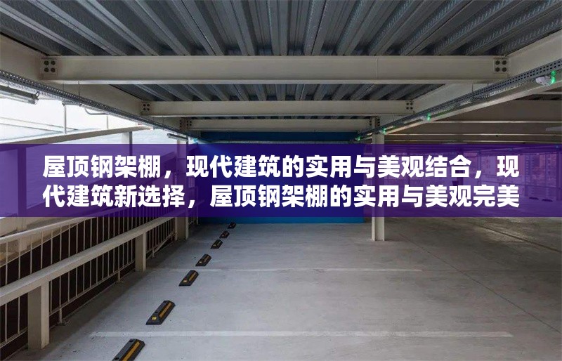 屋頂鋼架棚，現(xiàn)代建筑的實用與美觀結合，現(xiàn)代建筑新選擇，屋頂鋼架棚的實用與美觀完美融合
