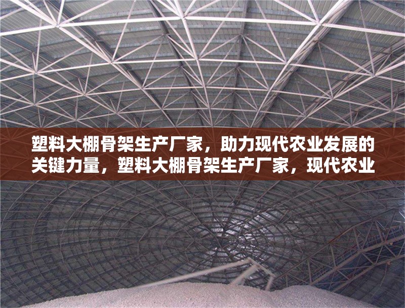 塑料大棚骨架生產(chǎn)廠家，助力現(xiàn)代農(nóng)業(yè)發(fā)展的關(guān)鍵力量，塑料大棚骨架生產(chǎn)廠家，現(xiàn)代農(nóng)業(yè)發(fā)展的核心支撐