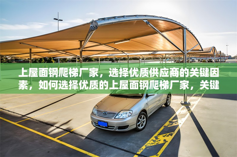 上屋面鋼爬梯廠家，選擇優(yōu)質(zhì)供應(yīng)商的關(guān)鍵因素，如何選擇優(yōu)質(zhì)的上屋面鋼爬梯廠家，關(guān)鍵因素解析
