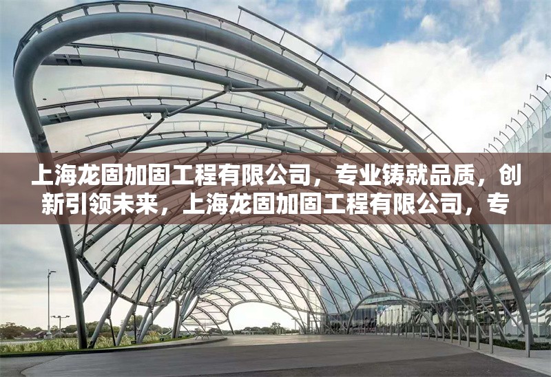 上海龍固加固工程有限公司，專業(yè)鑄就品質(zhì)，創(chuàng)新引領(lǐng)未來(lái)，上海龍固加固工程有限公司，專業(yè)鑄就品質(zhì)，創(chuàng)新引領(lǐng)未來(lái)