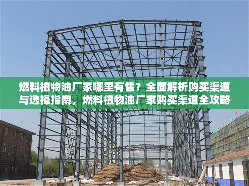 燃料植物油廠家哪里有售？全面解析購買渠道與選擇指南，燃料植物油廠家購買渠道全攻略，哪里買？怎么選？ 行業(yè)新聞