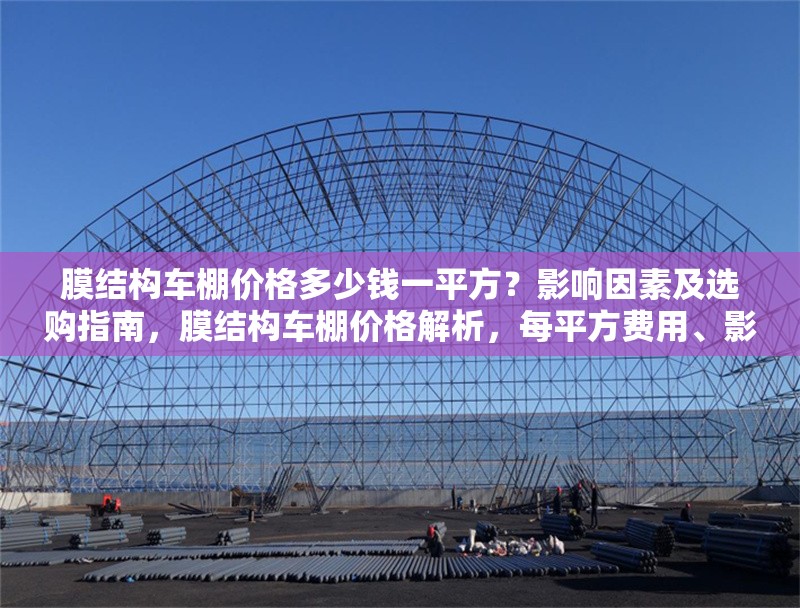 膜結(jié)構(gòu)車棚價(jià)格多少錢一平方？影響因素及選購(gòu)指南，膜結(jié)構(gòu)車棚價(jià)格解析，每平方費(fèi)用、影響因素與選購(gòu)