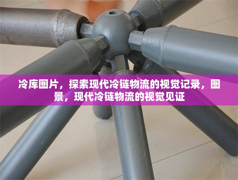 冷庫圖片，探索現(xiàn)代冷鏈物流的視覺記錄，圖景，現(xiàn)代冷鏈物流的視覺見證 行業(yè)新聞
