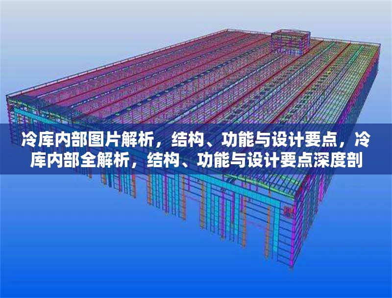 冷庫(kù)內(nèi)部圖片解析，結(jié)構(gòu)、功能與設(shè)計(jì)要點(diǎn)，冷庫(kù)內(nèi)部全解析，結(jié)構(gòu)、功能與設(shè)計(jì)要點(diǎn)深度剖析 行業(yè)新聞