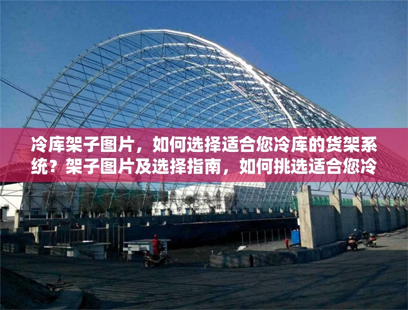冷庫架子圖片，如何選擇適合您冷庫的貨架系統(tǒng)？架子圖片及選擇指南，如何挑選適合您冷庫的貨架系統(tǒng) 行業(yè)新聞