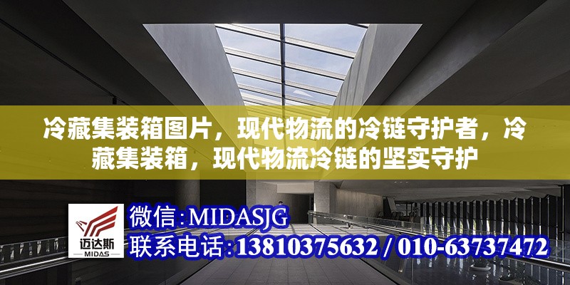冷藏集裝箱圖片，現(xiàn)代物流的冷鏈?zhǔn)刈o(hù)者，冷藏集裝箱，現(xiàn)代物流冷鏈的堅(jiān)實(shí)守護(hù) 行業(yè)新聞