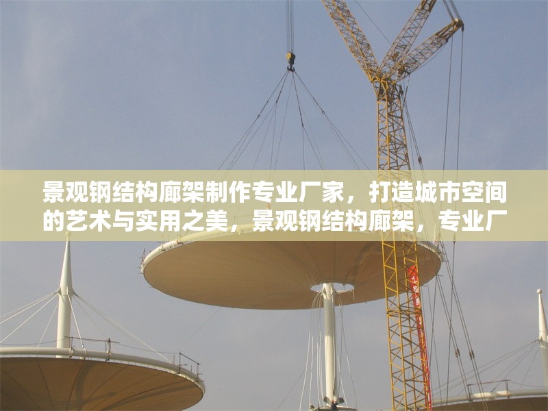 景觀鋼結(jié)構(gòu)廊架制作專業(yè)廠家，打造城市空間的藝術(shù)與實用之美，景觀鋼結(jié)構(gòu)廊架，專業(yè)廠家鑄就城市藝術(shù)實用之美 行業(yè)新聞