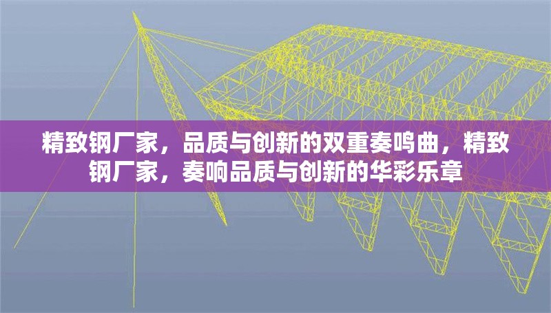 精致鋼廠家，品質(zhì)與創(chuàng)新的雙重奏鳴曲，精致鋼廠家，奏響品質(zhì)與創(chuàng)新的華彩樂章