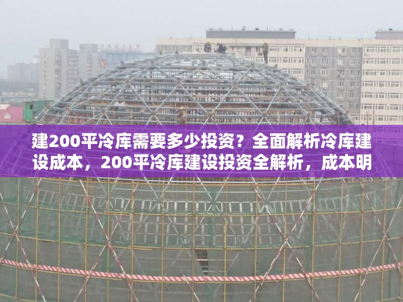 建200平冷庫需要多少投資？全面解析冷庫建設成本，200平冷庫建設投資全解析，成本明細與關鍵 行業(yè)新聞