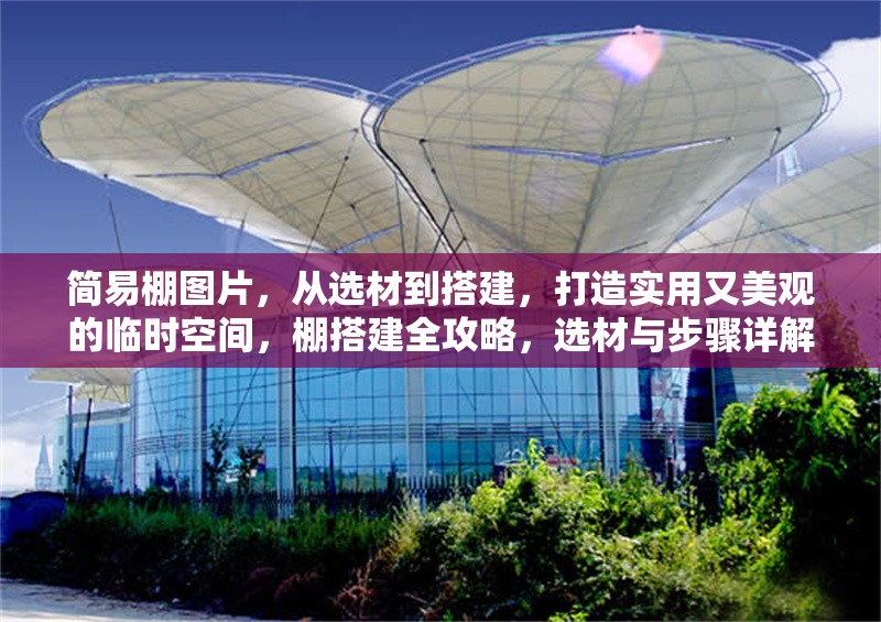 簡易棚圖片，從選材到搭建，打造實用又美觀的臨時空間，棚搭建全攻略，選材與步驟詳解，打造美觀實用 行業(yè)新聞