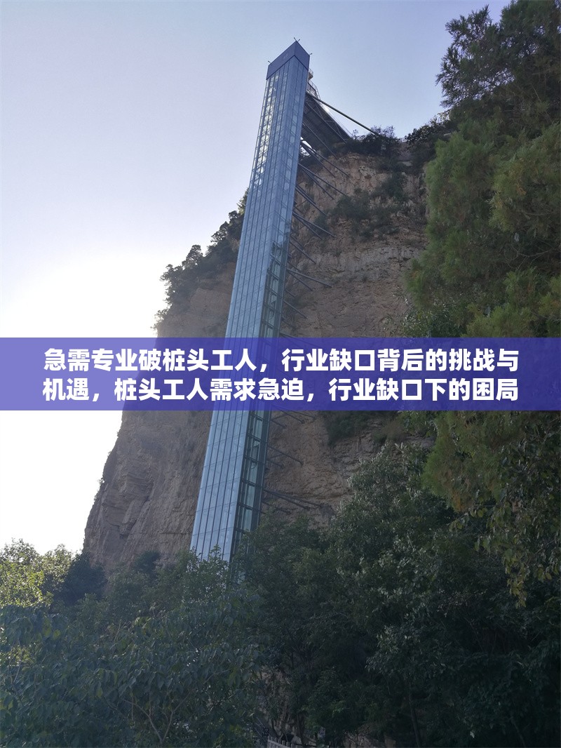 急需專業(yè)破樁頭工人，行業(yè)缺口背后的挑戰(zhàn)與機遇，樁頭工人需求急迫，行業(yè)缺口下的困局與新 行業(yè)新聞