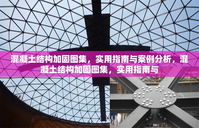 混凝土結(jié)構(gòu)加固圖集，實(shí)用指南與案例分析，混凝土結(jié)構(gòu)加固圖集，實(shí)用指南與 行業(yè)新聞