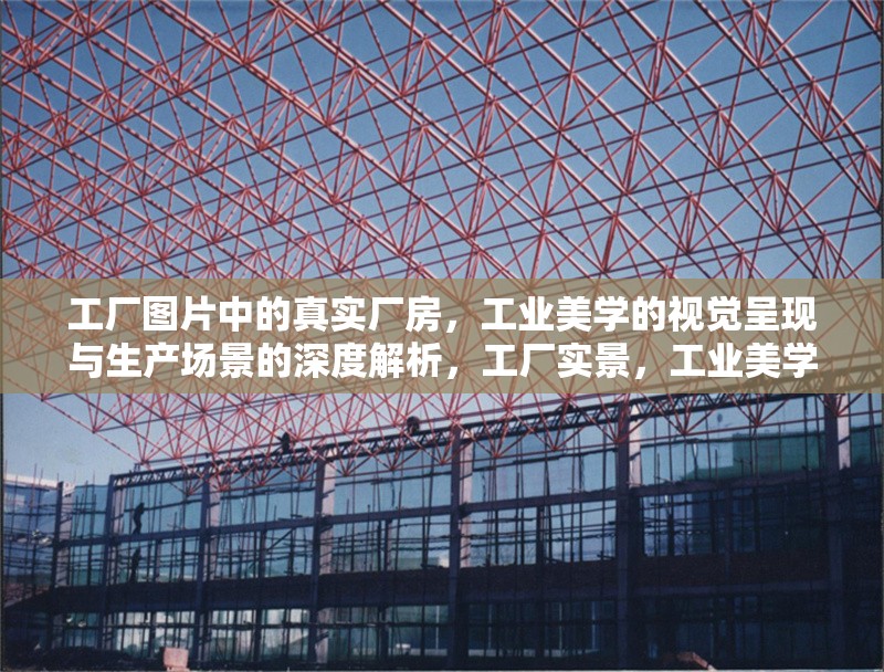 工廠圖片中的真實(shí)廠房，工業(yè)美學(xué)的視覺呈現(xiàn)與生產(chǎn)場景的深度解析，工廠實(shí)景，工業(yè)美學(xué)與生產(chǎn)場景