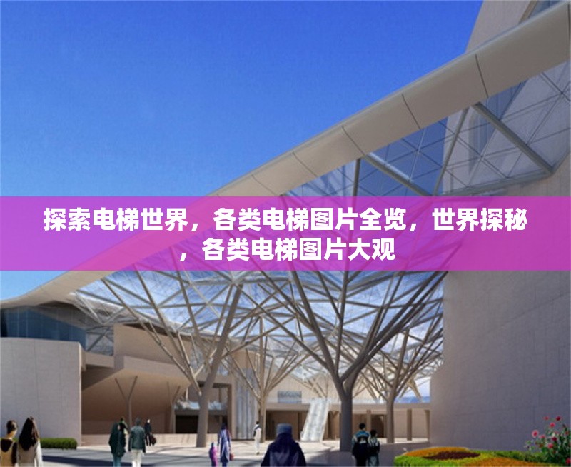 探索電梯世界，各類電梯圖片全覽，世界探秘，各類電梯圖片大觀 行業(yè)新聞