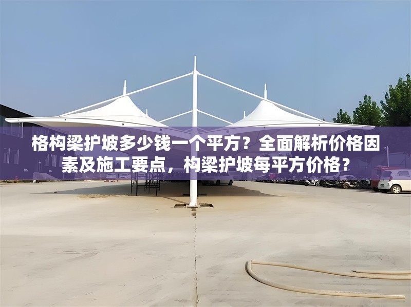 格構(gòu)梁護(hù)坡多少錢一個(gè)平方？全面解析價(jià)格因素及施工要點(diǎn)，構(gòu)梁護(hù)坡每平方價(jià)格？