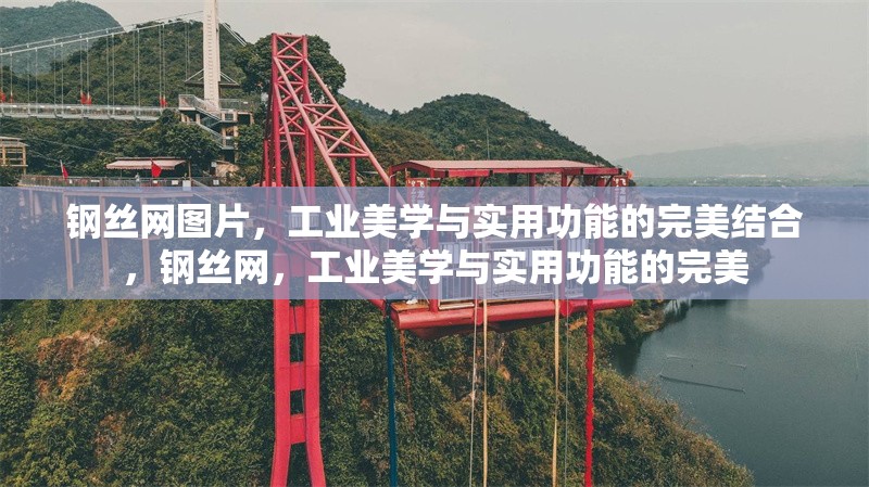 鋼絲網(wǎng)圖片，工業(yè)美學(xué)與實用功能的完美結(jié)合，鋼絲網(wǎng)，工業(yè)美學(xué)與實用功能的完美