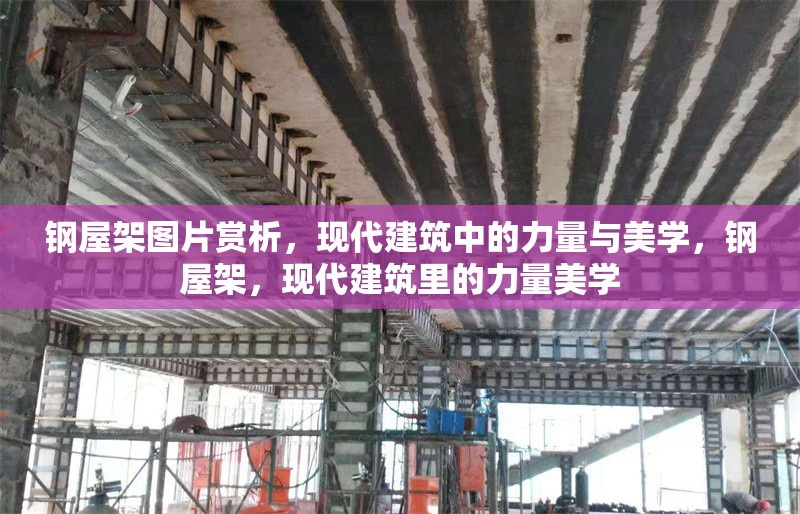 鋼屋架圖片賞析，現(xiàn)代建筑中的力量與美學(xué)，鋼屋架，現(xiàn)代建筑里的力量美學(xué) 行業(yè)新聞