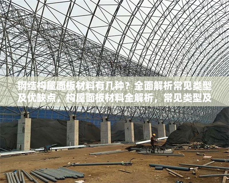 鋼結(jié)構(gòu)屋面板材料有幾種？全面解析常見類型及優(yōu)缺點，構(gòu)屋面板材料全解析，常見類型及 行業(yè)新聞