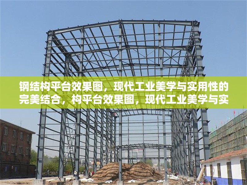 鋼結(jié)構(gòu)平臺效果圖，現(xiàn)代工業(yè)美學(xué)與實用性的完美結(jié)合，構(gòu)平臺效果圖，現(xiàn)代工業(yè)美學(xué)與實用功能的