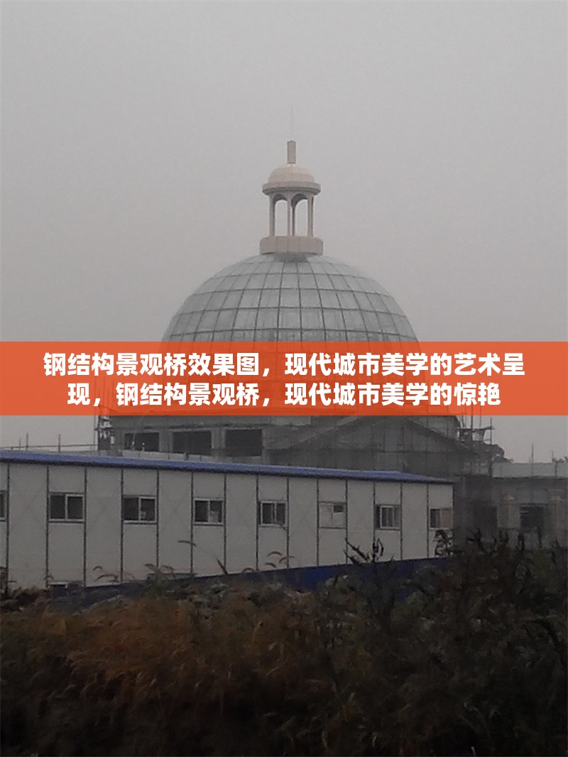 鋼結(jié)構(gòu)景觀橋效果圖，現(xiàn)代城市美學(xué)的藝術(shù)呈現(xiàn)，鋼結(jié)構(gòu)景觀橋，現(xiàn)代城市美學(xué)的驚艷 行業(yè)新聞