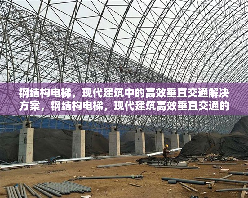 鋼結構電梯，現代建筑中的高效垂直交通解決方案，鋼結構電梯，現代建筑高效垂直交通的 行業(yè)新聞