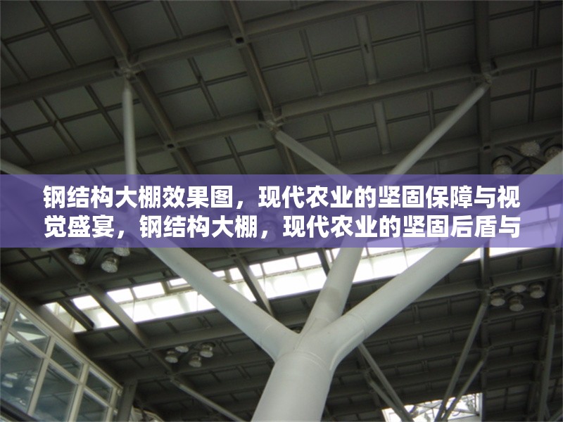 鋼結(jié)構(gòu)大棚效果圖，現(xiàn)代農(nóng)業(yè)的堅(jiān)固保障與視覺盛宴，鋼結(jié)構(gòu)大棚，現(xiàn)代農(nóng)業(yè)的堅(jiān)固后盾與