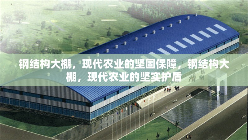 鋼結(jié)構(gòu)大棚，現(xiàn)代農(nóng)業(yè)的堅固保障，鋼結(jié)構(gòu)大棚，現(xiàn)代農(nóng)業(yè)的堅實護盾
