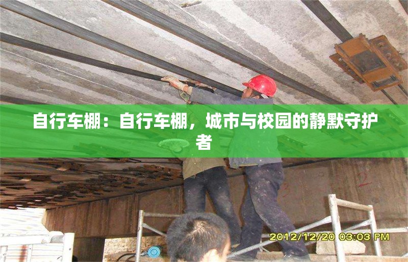 自行車棚：自行車棚，城市與校園的靜默守護者 行業(yè)新聞