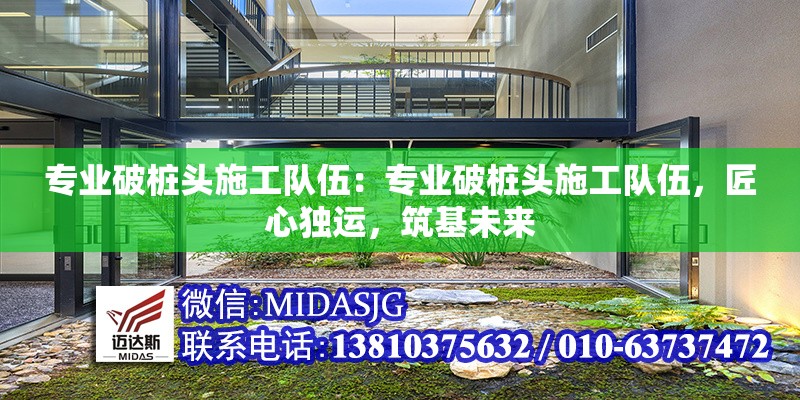 專業(yè)破樁頭施工隊伍：專業(yè)破樁頭施工隊伍，匠心獨運，筑基未來 行業(yè)新聞